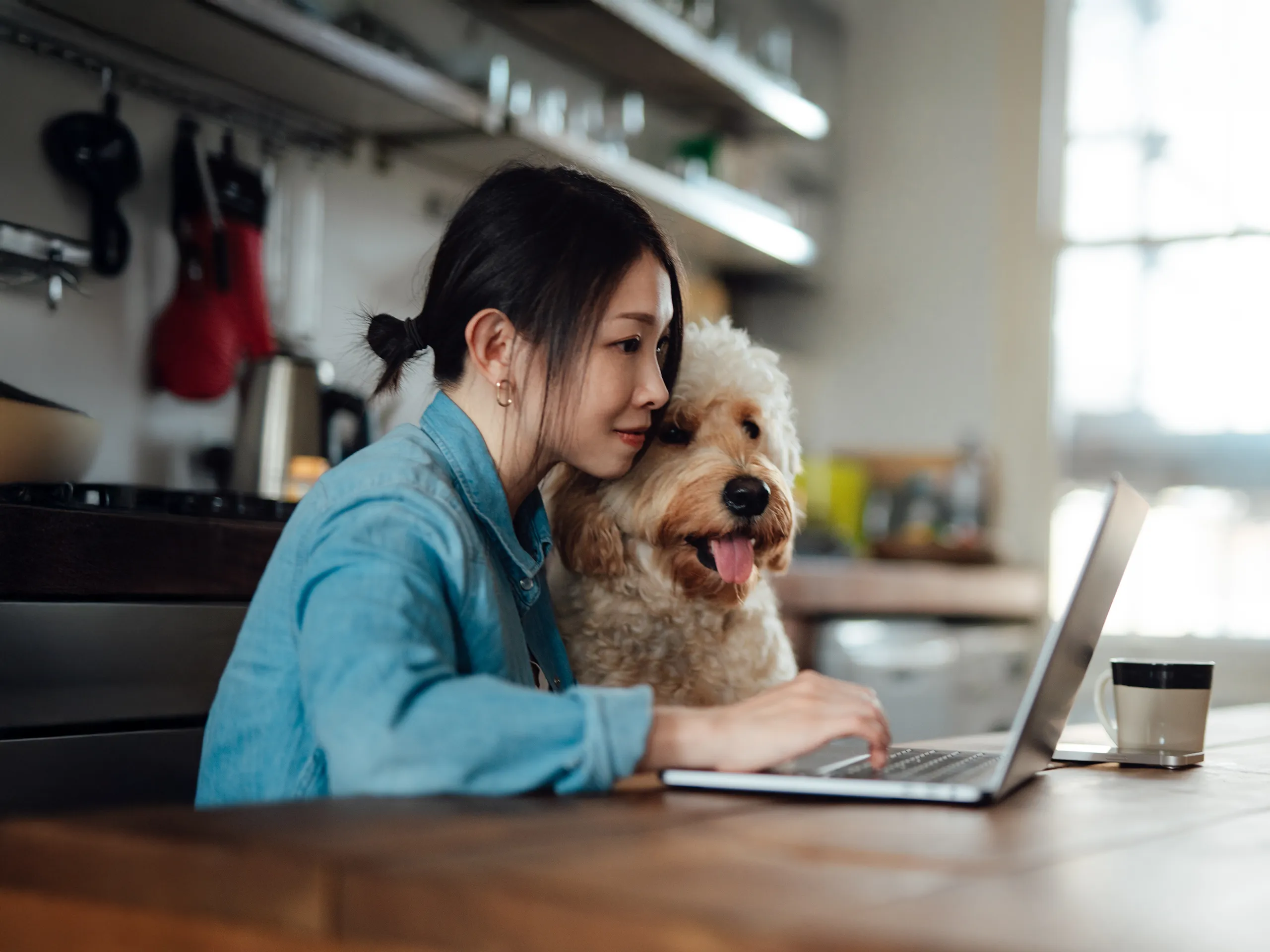 Junge Frau mit Laptop und Lockenhund arbeitet in einer gemütlichen Küche.