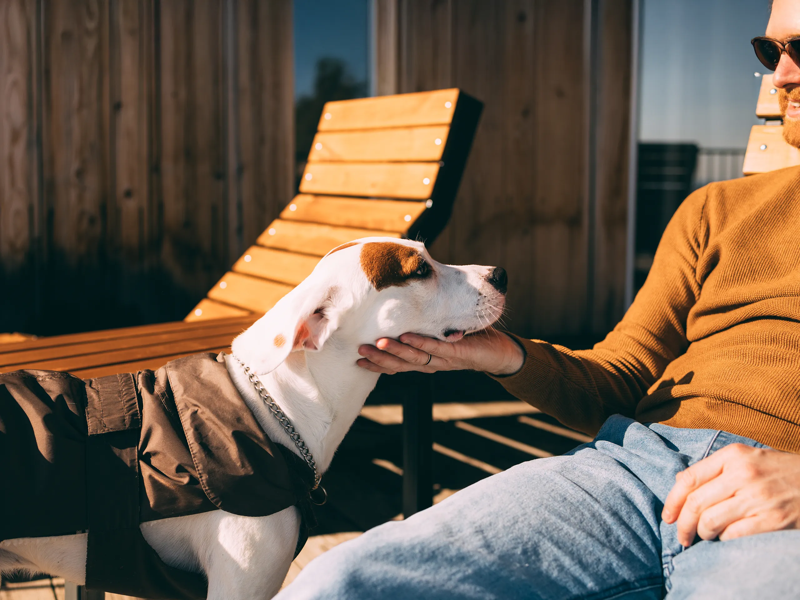 Mann mit Sonnenbrille und braunem Pullover streichelt einen Hund auf einer Terrasse.