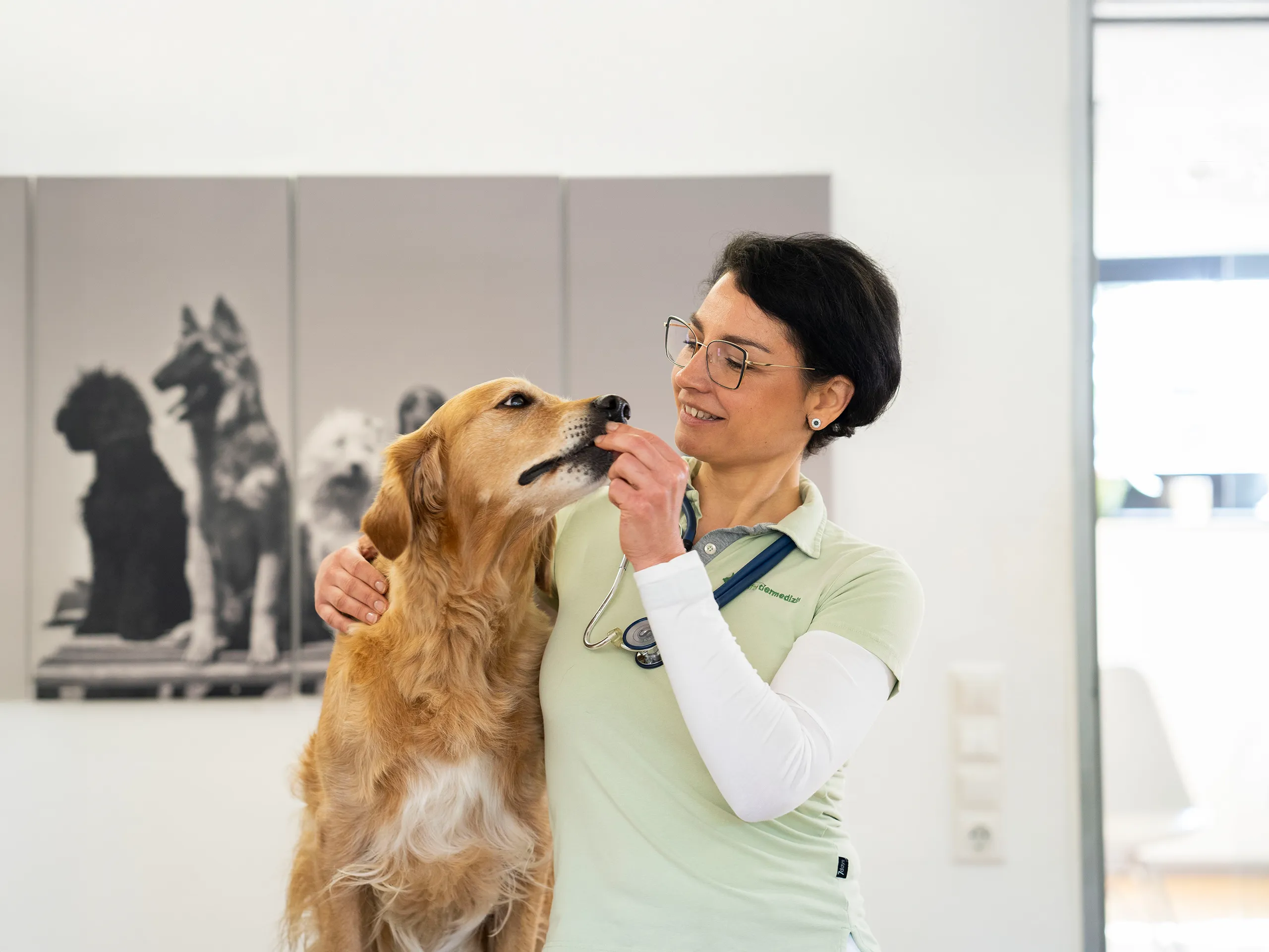 Tierärztin Dr. Gundula Glossner mit Stethoskop füttert einen Golden Retriever in einer Tierarztpraxis.