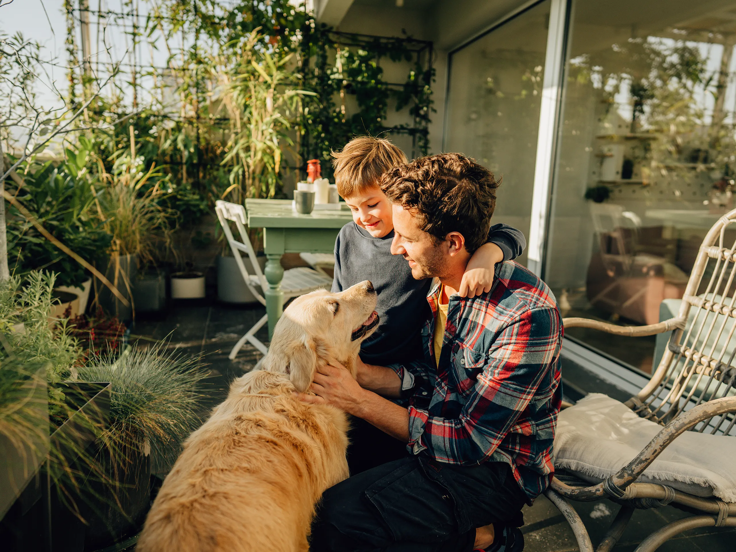 Vater und Sohn streicheln ihren Hund auf einer sonnigen Terrasse mit vielen Pflanzen.