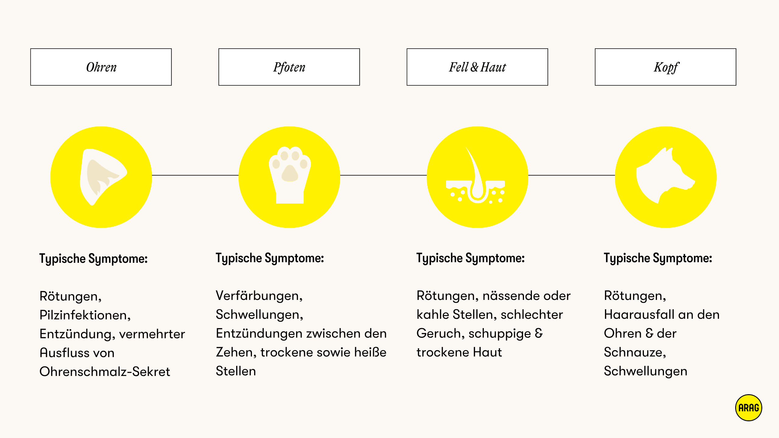 Typische Allergiesymptome bei Hunden an verschiedenen Körperstellen