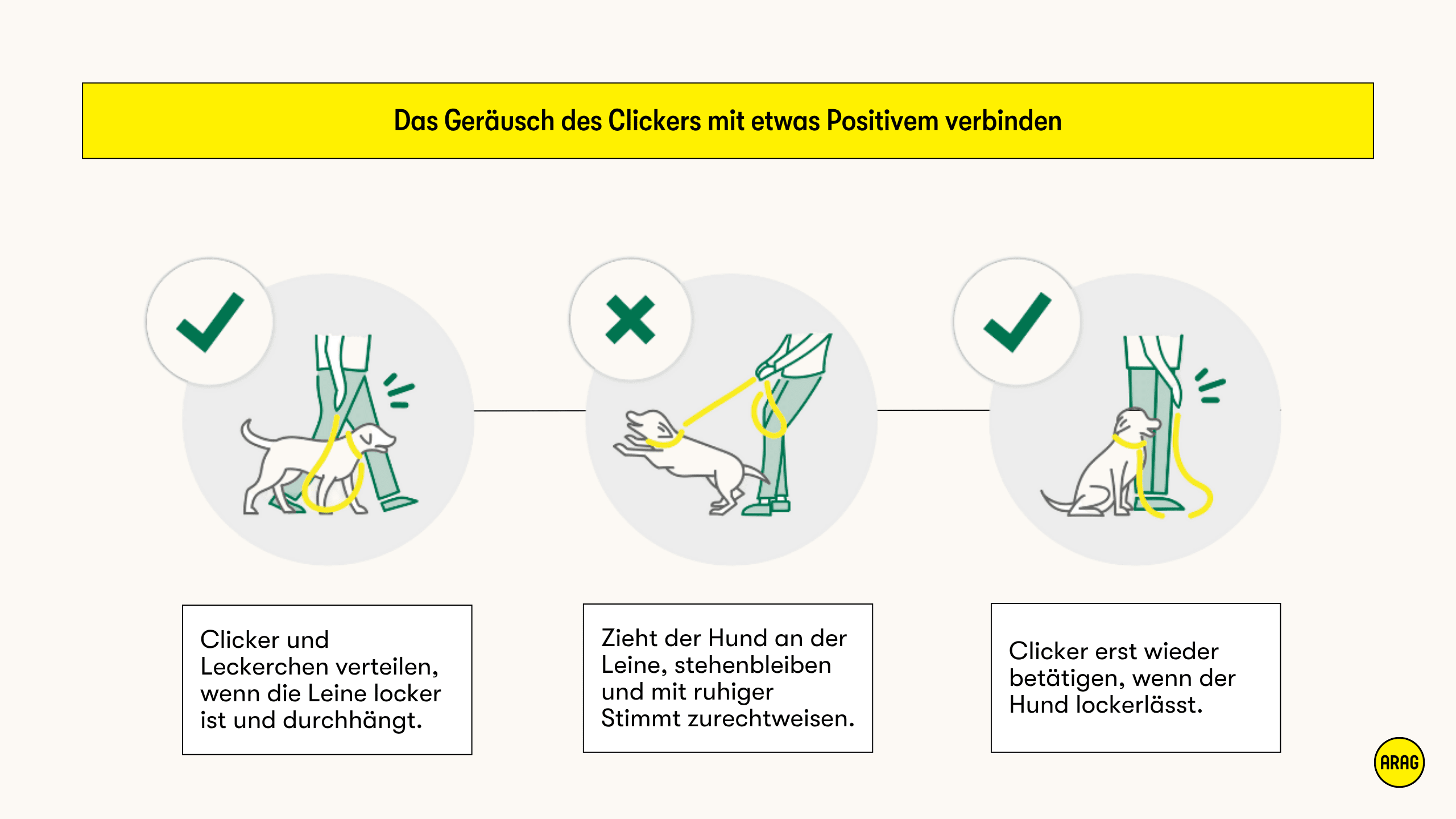Illustration zeigt richtiges und falsches Verhalten beim Clickertraining für Leinenführung mit Hund.