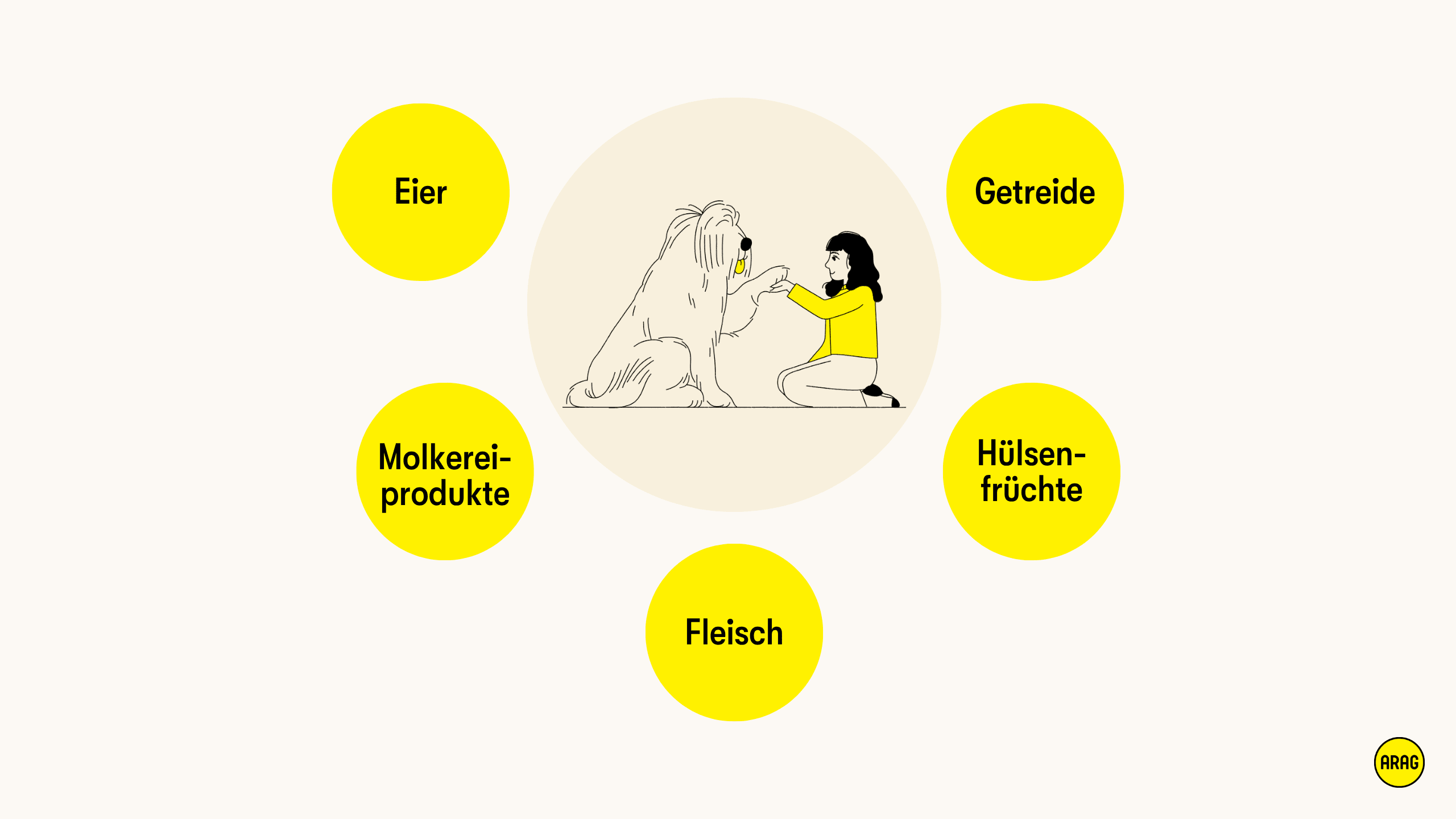 Häufige Auslöser von Futtermittelallergien bei Hunden