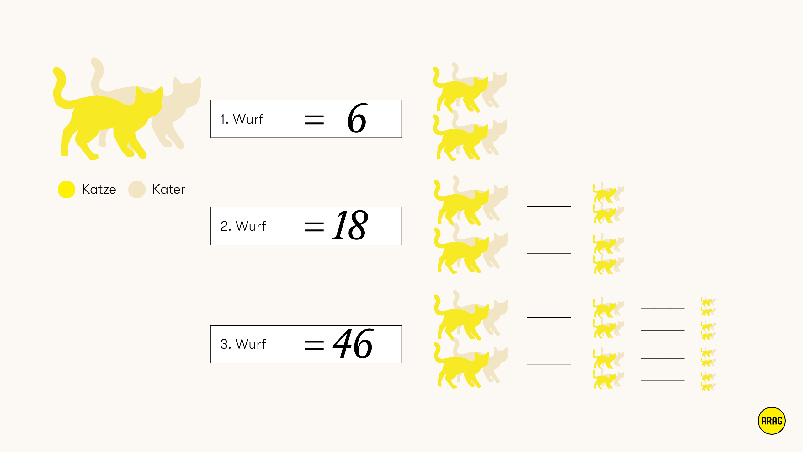 Grafik zur möglichen Nachkommenzahl von Katzen über drei Würfe