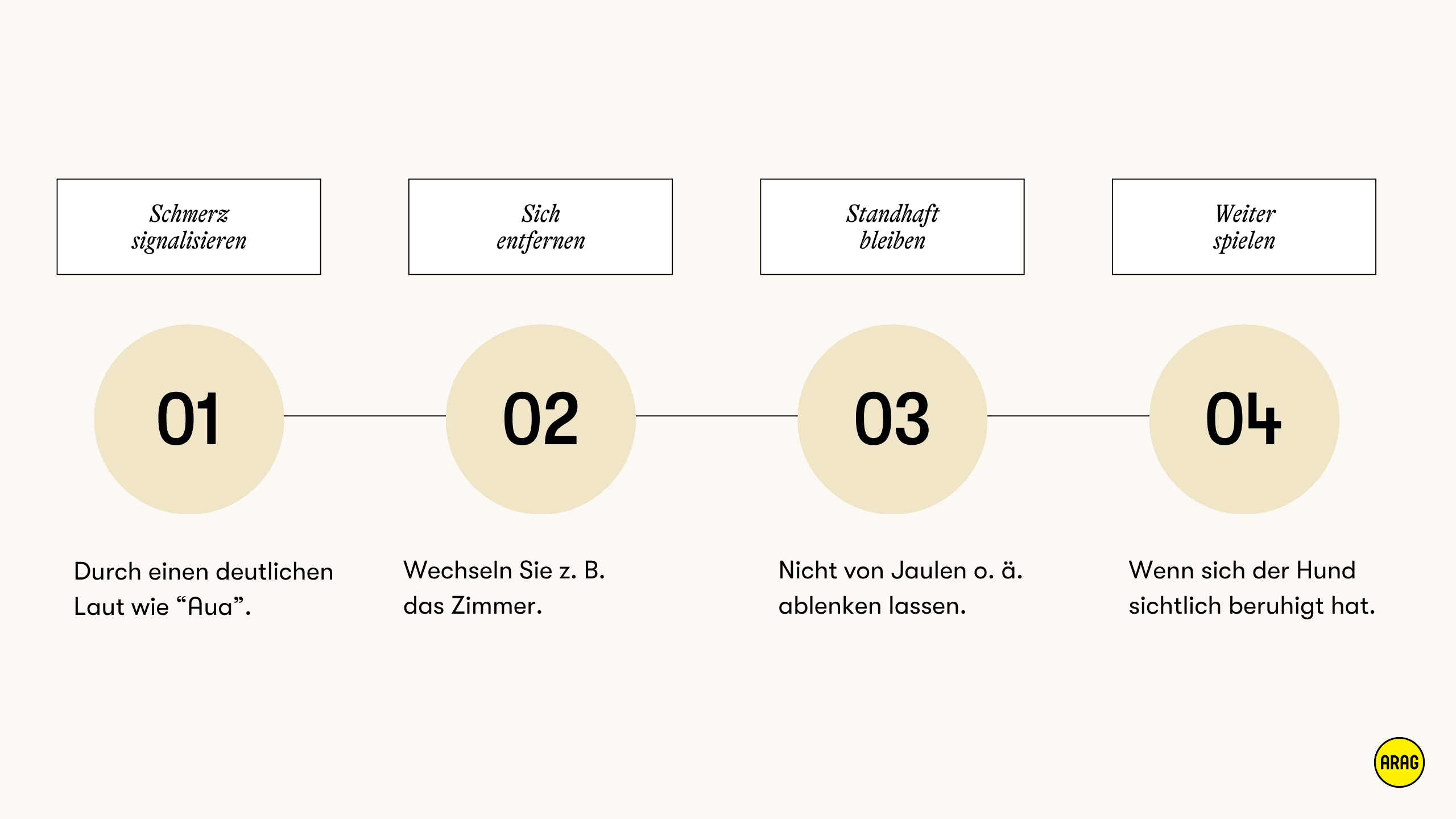 Vier Schritte im Umgang mit beißenden Welpen