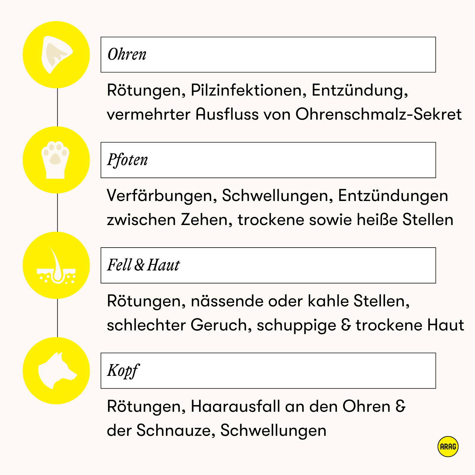 Typische Allergiesymptome bei Hunden an verschiedenen Körperstellen