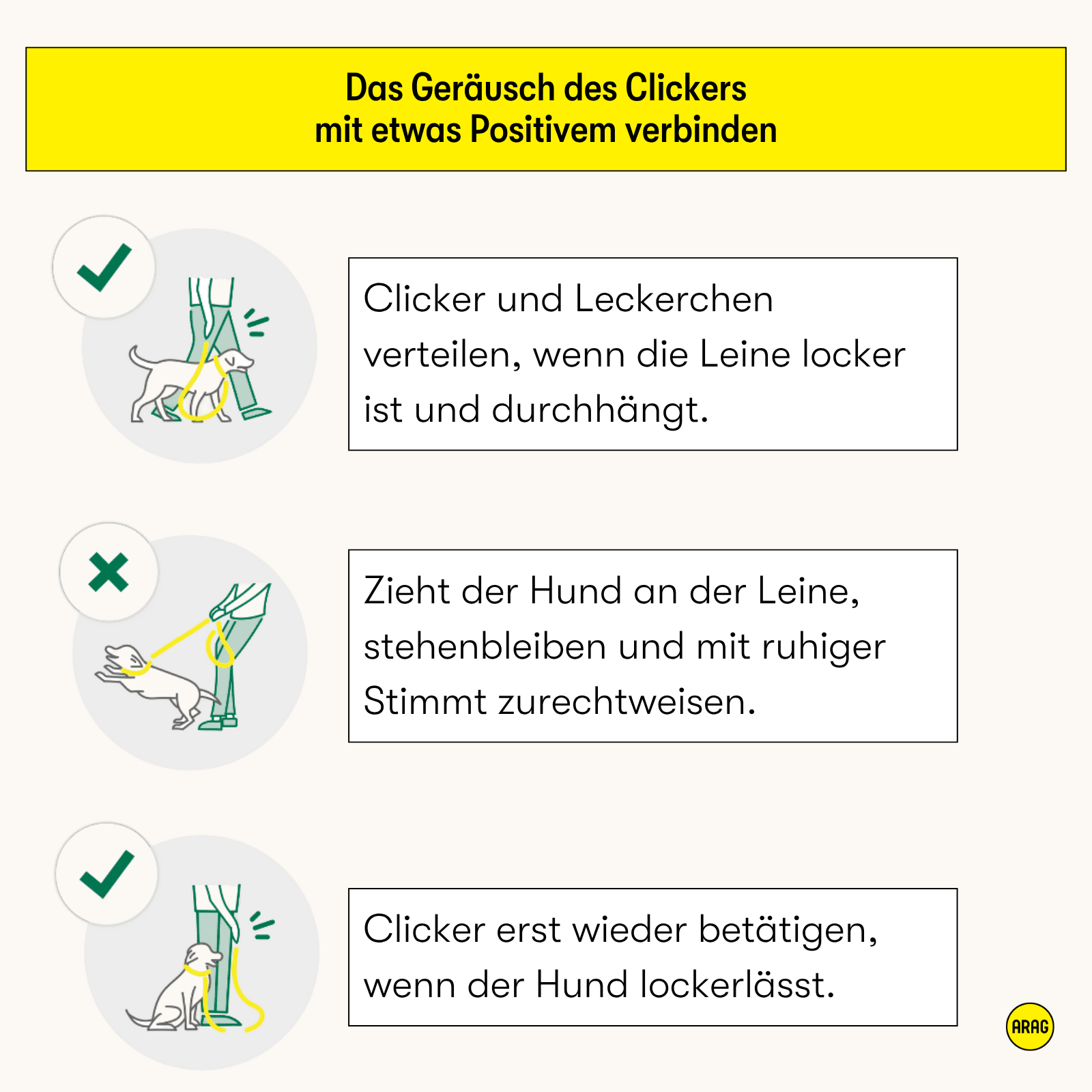 Illustration zeigt richtiges und falsches Verhalten beim Clickertraining für Leinenführung mit Hund.