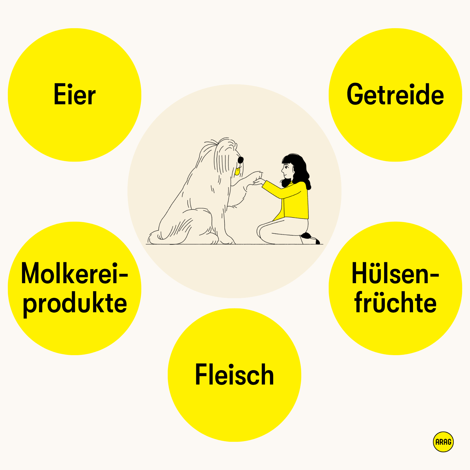 Häufige Auslöser von Futtermittelallergien bei Hunden