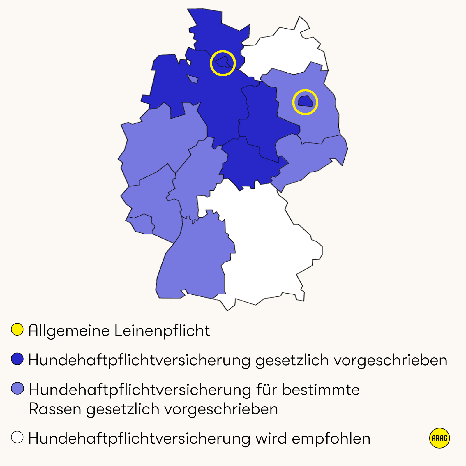 Pflichten für Hundehalter in Deutschland nach Bundesland: Versicherung und Leinenpflicht