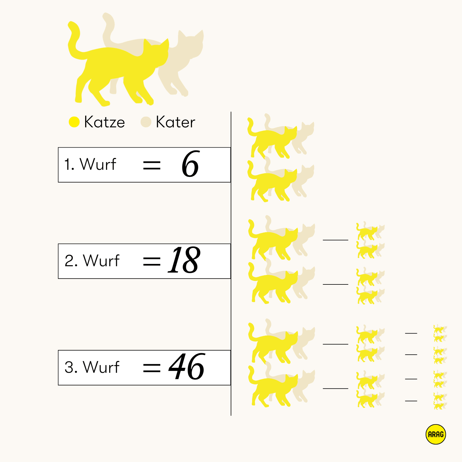 Grafik zur möglichen Nachkommenzahl von Katzen über drei Würfe