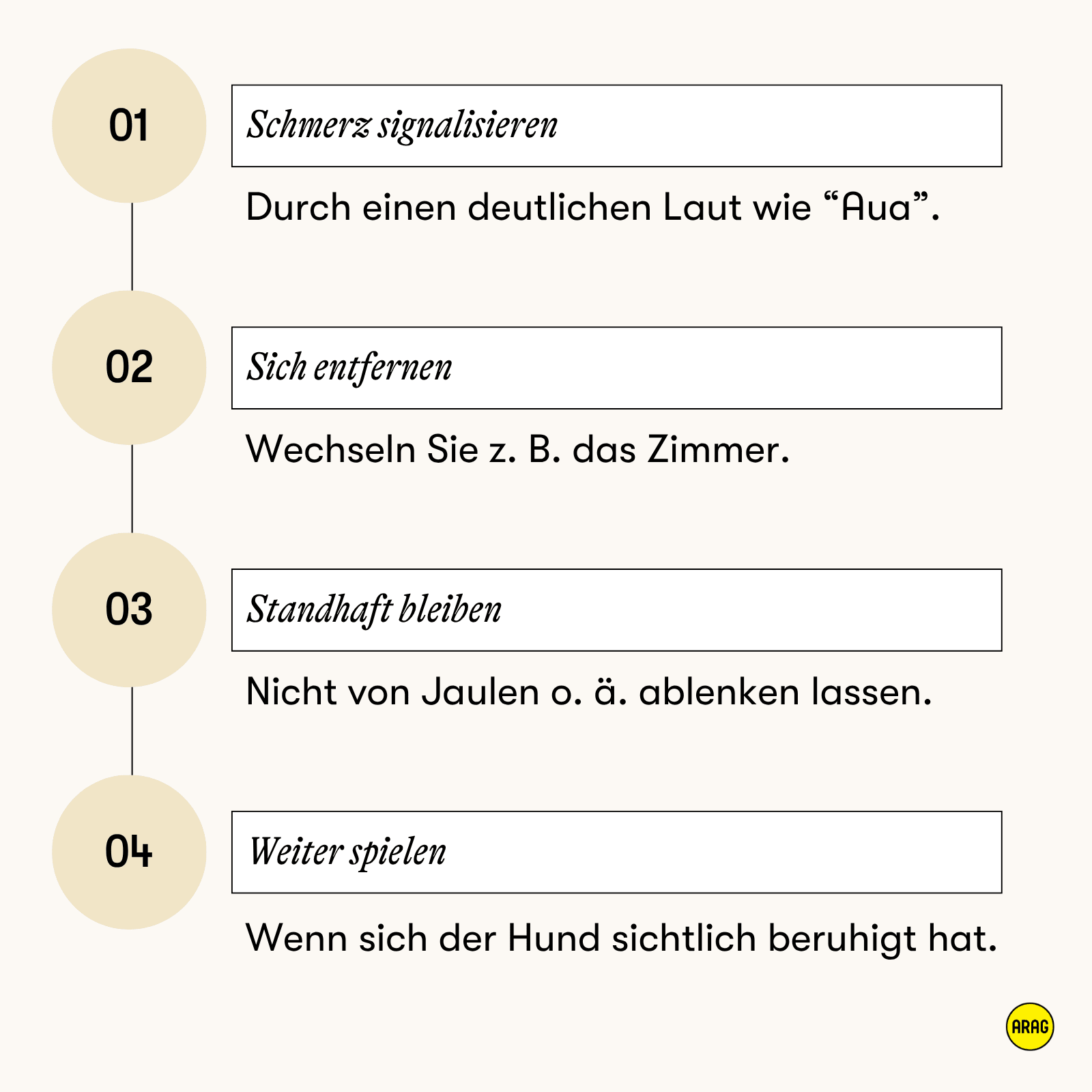 Vier Schritte im Umgang mit beißenden Welpen