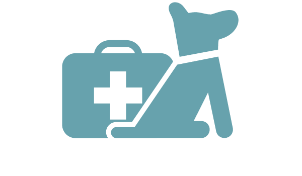 Icon Reiseapotheke für Hunde Icon Reiseapotheke für Hunde
