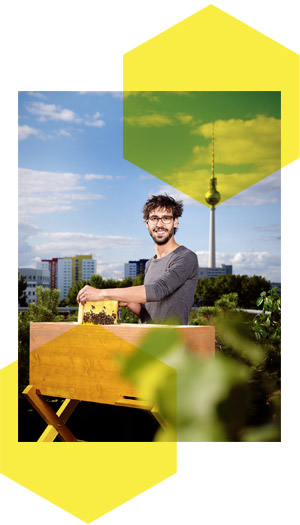 So funktioniert die Bienenbox So funktioniert die Bienenbox