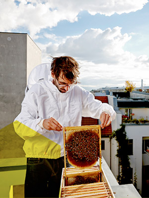 Johannes Weber und seine Bienenbox Johannes Weber und seine Bienenbox