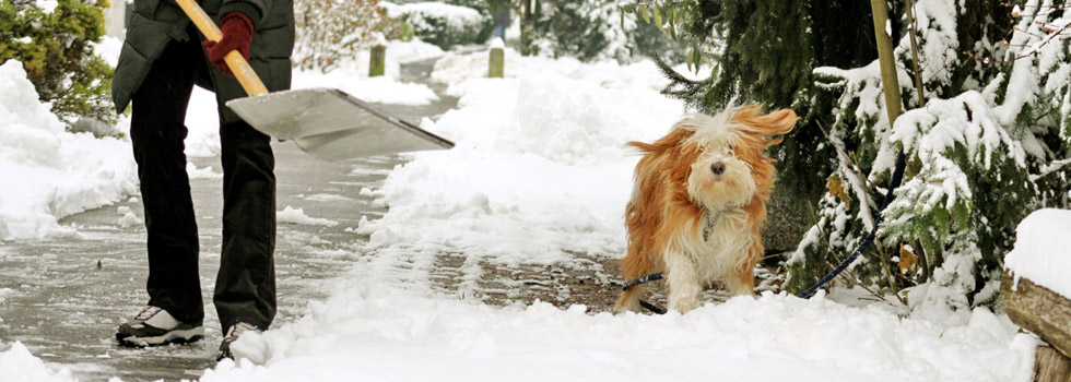 Schneeschippen: Wer, wann und wie oft?