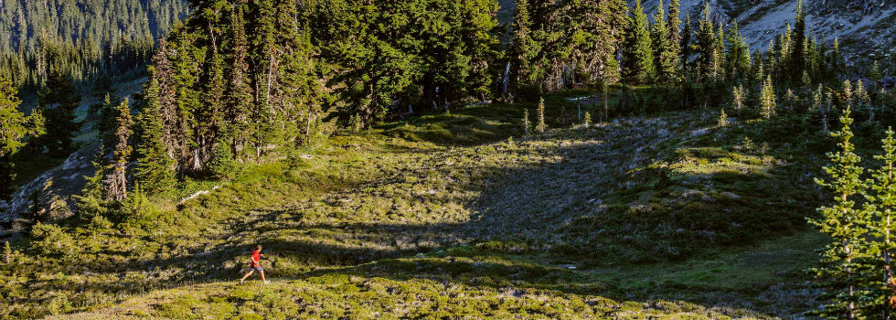 Mein Recht in Wald und Flur Rechtstipps der ARAG Versicherung