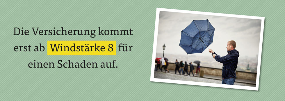 Sturmgrafik-980x350-12012018-l