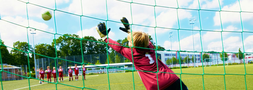 Vereinssatzung eines Fußballvereins