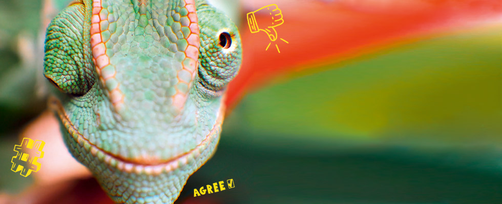 ARAG web@ktiv – Die Rechtschutzversicherung für dein digitales Leben. ARAG web@ktiv – Die Rechtschutzversicherung für dein digitales Leben.