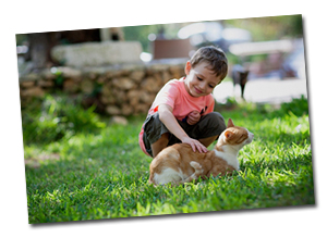 Katze_Garten_300 Dürfen Tiere im Gemeinschaftsgarten frei herumlaufen?