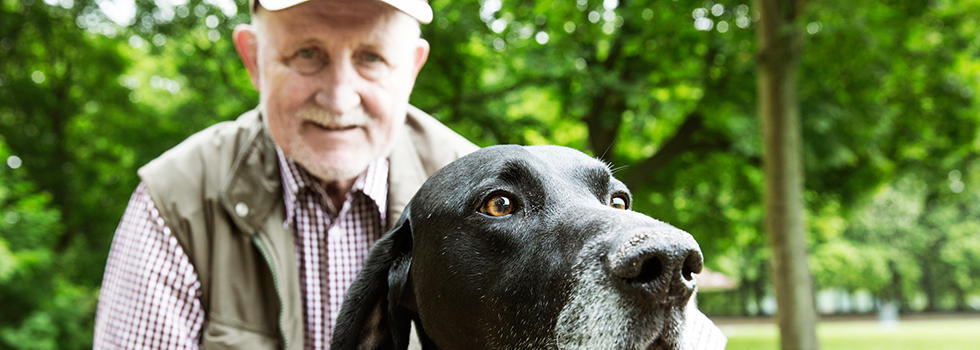 Teures Gassi gehen – Bußgelder für Hundehaufen