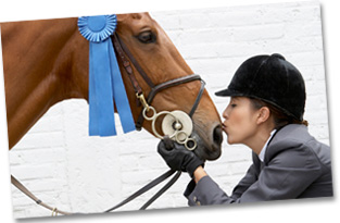 Pferdehaftpflichtversicherung