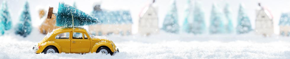 So reist Ihr Weihnachtsbaum sicher Rechtstipps der ARAG Versicherung