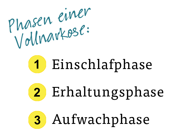 Phasen einer Vollnarkose: Einschlafphase, Erhaltungsphase, Aufwachphase Phasen einer Vollnarkose: Einschlafphase, Erhaltungsphase, Aufwachphase