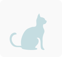 Tierarztrechnung Katze 01