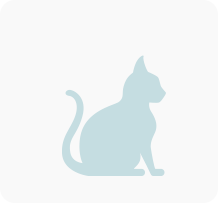 Tierarztrechnung Katze 03