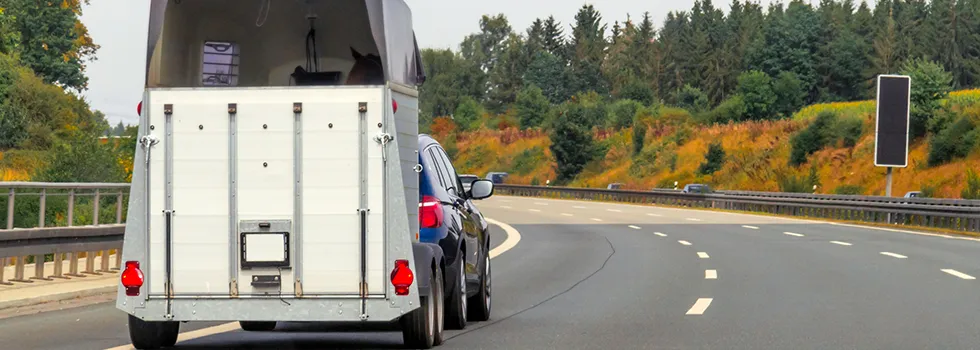 Führerschein für Pferdeanhänger