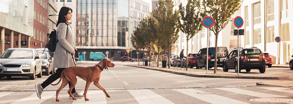 Hundehalterin mit Hund in der Stadt