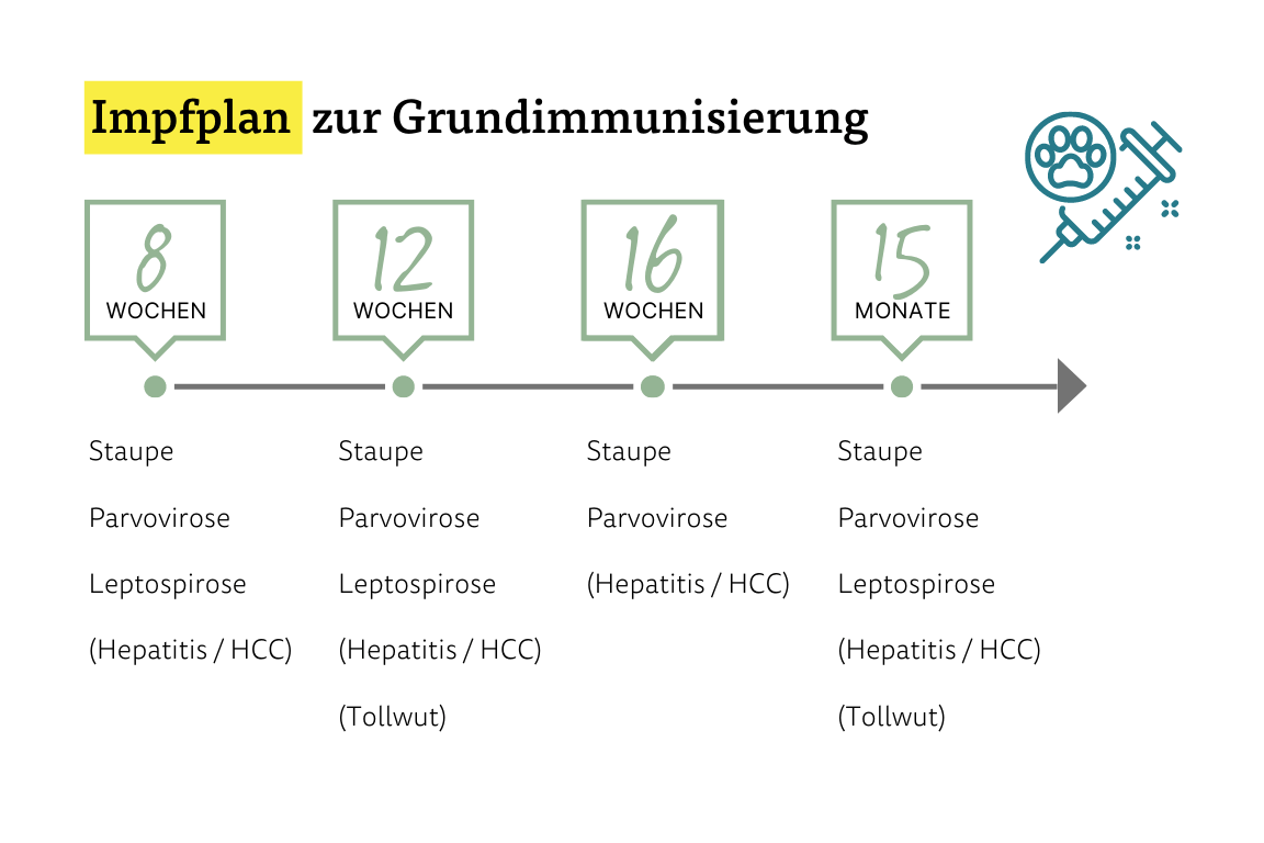 Impfplan zur Grundimmunisierung Impfplan zur Grundimmunisierung