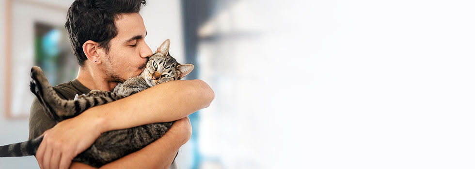 Katzenkrankenversicherung TierProtect der ARAG Katzenkrankenversicherung TierProtect der ARAG