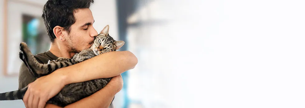 Katzenkrankenversicherung TierProtect der ARAG