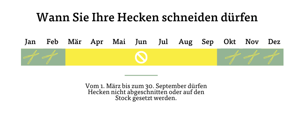 Wann Hecken schneiden erlaubt ist Wann Hecken schneiden erlaubt ist
